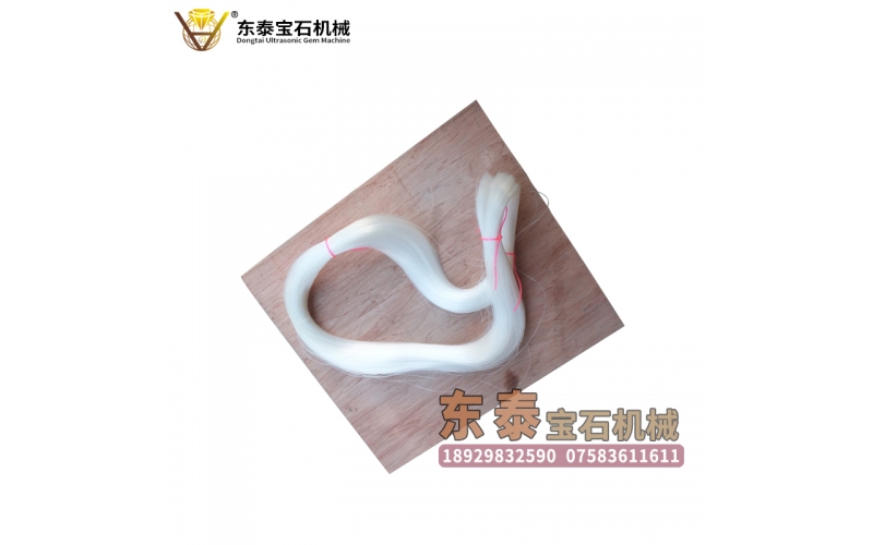 魚(yú)絲線